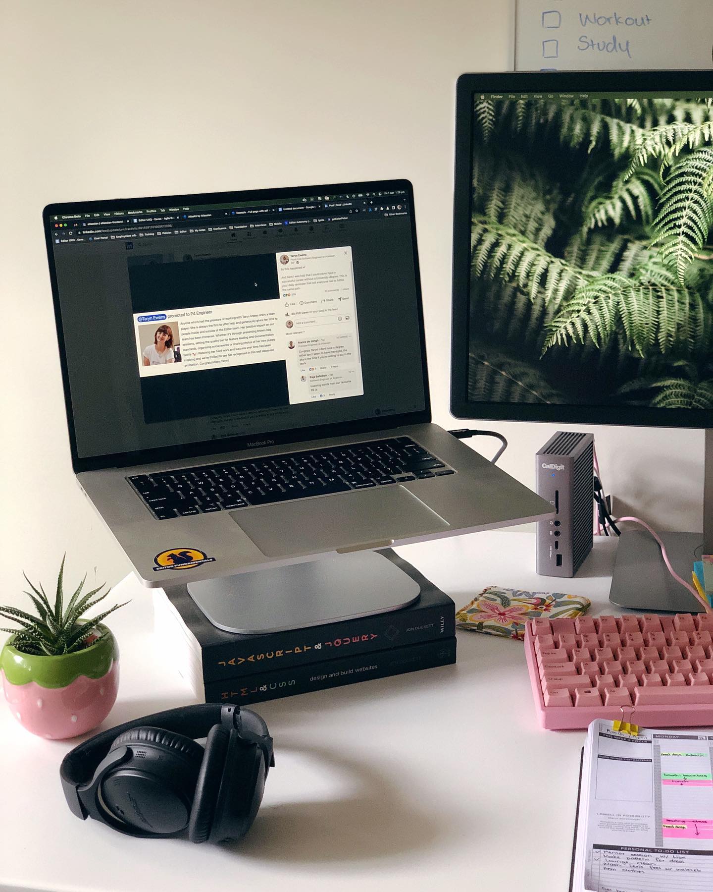 Taryn's desk set up